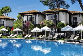 Papillon Ayscha ****(*)